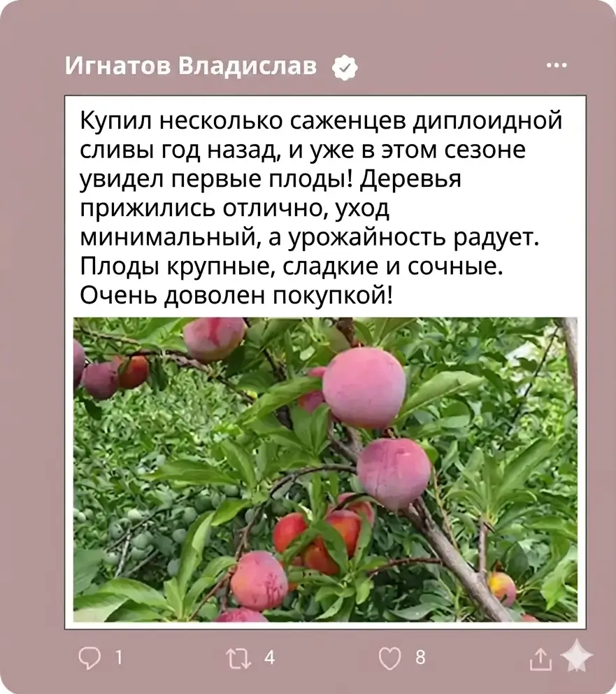 Отзыв 1