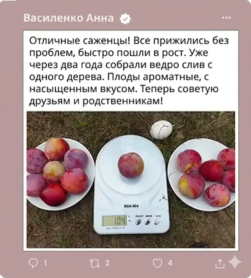 Отзыв 2