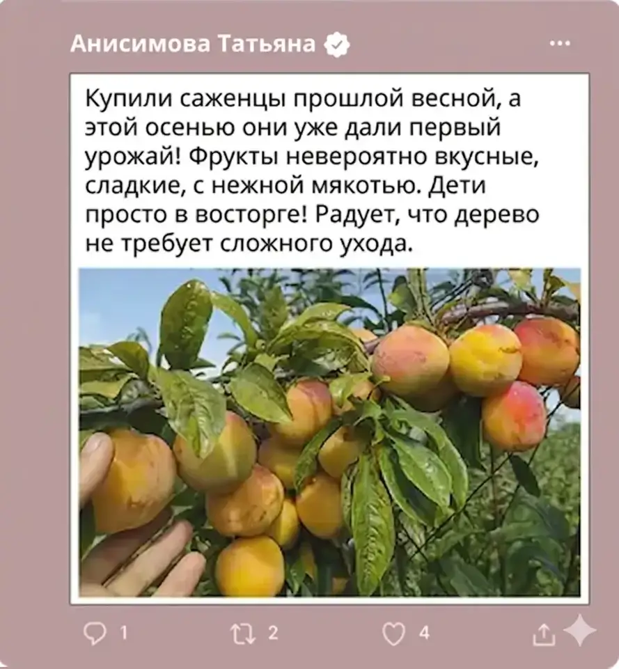 Отзыв 4